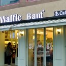 와플반트 이미지