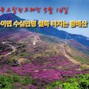 (목요힐링트레킹) 5월 14일 황매산 진 분홍빛 산상화원 ♡꽃 능선 과 바위능선 이미지