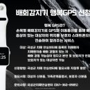 곡성군치매안심센터 이미지