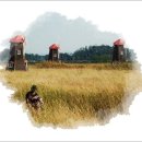 갈바람 Daum카페