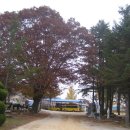 임실초등학교 이미지