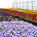 서대전 광장 이미지