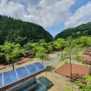 좌구산휴양랜드 이미지