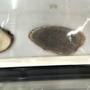 봄내한의원 이미지