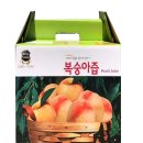 국일피앤피(주) 이미지