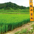 행록 1장 5절 - 7절