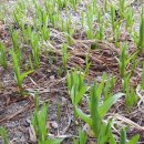 온고이지신 이미지