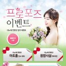노체 이미지