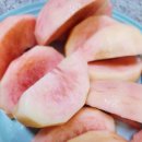 강천농장 이미지