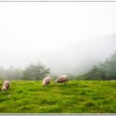 승희목장 이미지