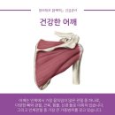 다산애한의원 이미지