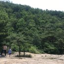 몽스김밥 이미지