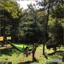 행복한 숲 어린이집 이미지