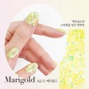 라플레르 이미지