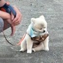 어라
