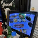 황포횟집 | 광주 대방어 맛집 동천동 황금회포차 대방어 찐 후기