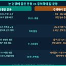운동이 눈 건강에 미치는 영향 — 안압 관리·근시 진행 관리·주의 운동