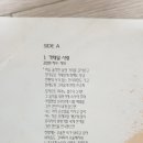 마로니에3
