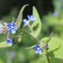 (주)사이넷 이미지