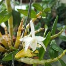 석곡농장 이미지