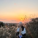 제주애단비 마주 이미지