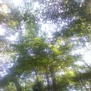 마산 봉암수원지 이미지