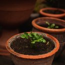 감성 더하기 라탄 소품 이미지