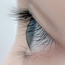 별내속눈썹 속눈썹펌 유목민들 모여라 필인뷰티 솔직후기