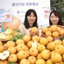 한아름유통 이미지