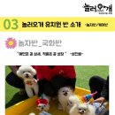 놀러오개 애견유치원 애견호텔 이미지