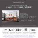 멍냥이그루밍아카데미 | 그루밍&amp;마사지장갑 더콤마_ 상세하게 알아보자!