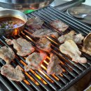 수지구청 야외화장실 네이버블로그