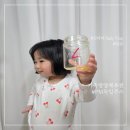 비고리조트 19 | 독일 PM쥬스 효능 아이 영양제 내돈내산 솔직후기