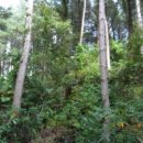 남원읍-54 이미지