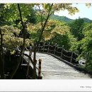 다락산장 이미지