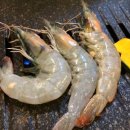 바다실비식당 이미지
