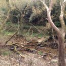 월출산장 호텔 이미지