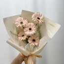 거베라 네이버블로그