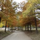 길치근린공원 이미지