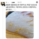 먹으면 안되는 참돔회 이미지