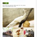 승마랜드 이미지