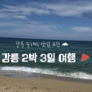 강릉 2박 3일 여행 일정 추천 | 네 번째 강릉 여행 실패없는 맛집, 주차 정보까지🌊🐟🦑