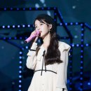 팔레트투어