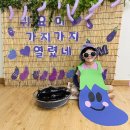 퍼플데이 이미지