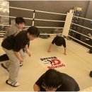 대한권투분당 이미지