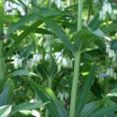 전원어린이집 이미지