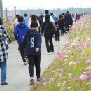 서산시, 2023 서산 자전거․걷기 대행진 성황리 마쳐!(김면수의 정치토크) 이미지