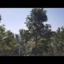 햇비 산악회 2017, 해파랑길 2,000리-빈 둥지 이미지