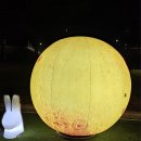 예산초 단풍나무길 | 천안 독립기념관 야간개장 :: 단풍나무숲길 일요일 방문 후기