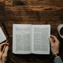 서울외국인학교 이미지